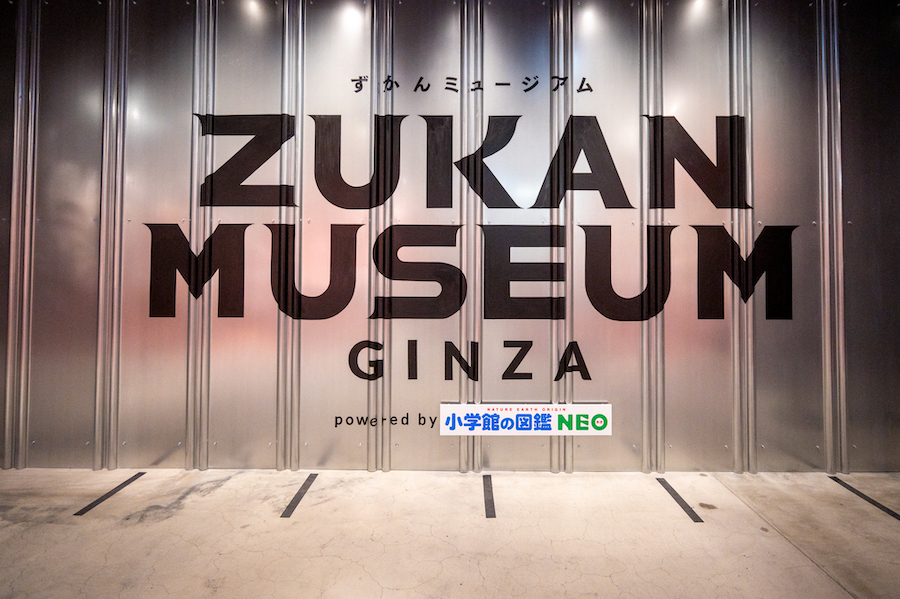 ZUKAN MUSEUM GINZA powered by 小学館の図鑑NEO　入り口  photo by　ぷらいまり