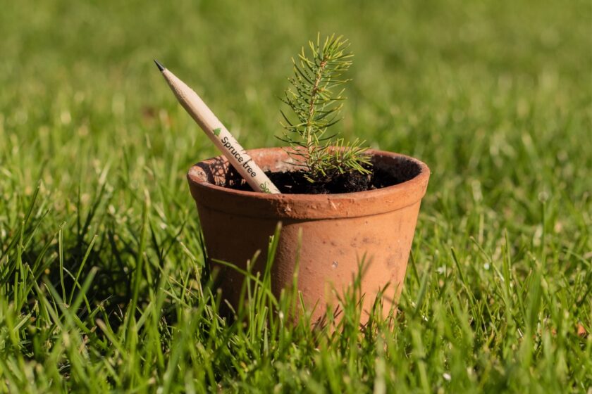 土にかえる鉛筆「Sprout Pencil（スプラウトペンシル）」―“芽が出る文房具”を育てよう