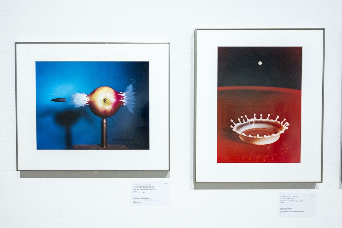 左から 《りんごを貫く30口径の弾丸》ハロルド・ユージン・エジャートン 1964年、《ミルクの滴の小冠》ハロルド・ユージン・エジャートン 1957年 ともに東京都写真美術館蔵（写真撮影：ぷらいまり）