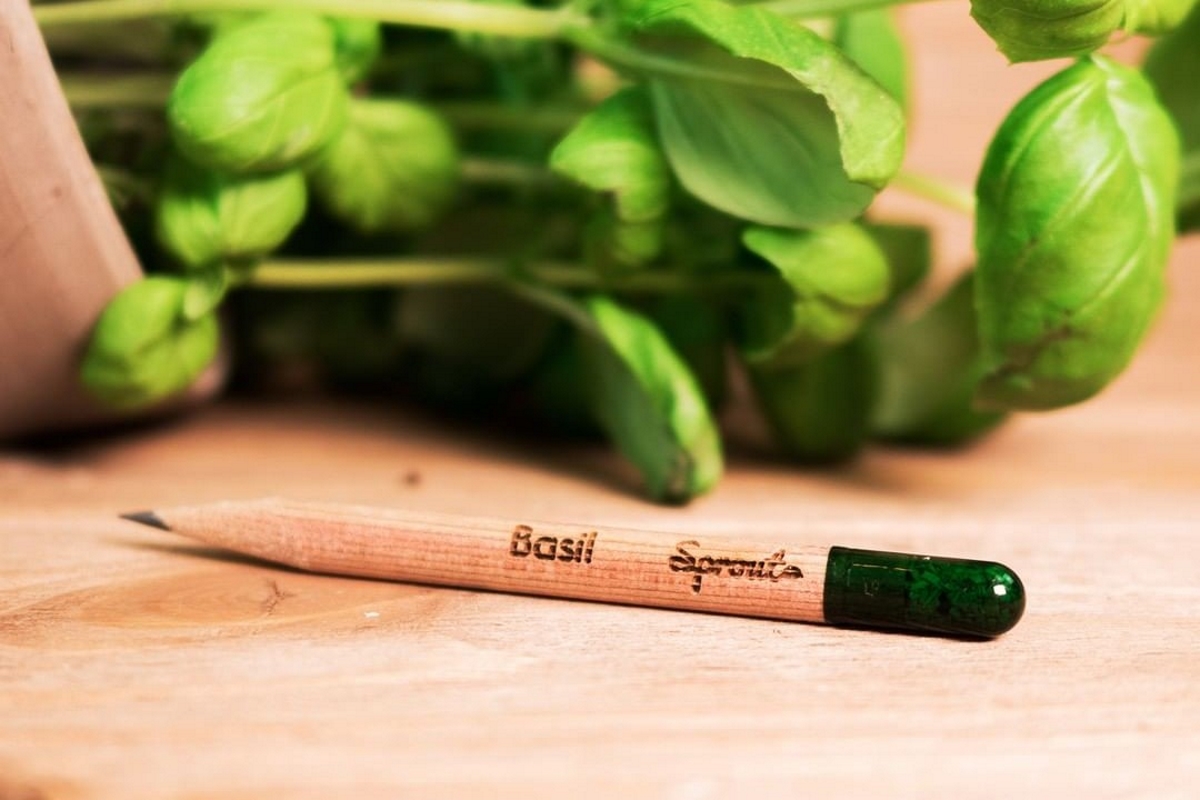 Sprout Pencil（スプラウトペンシル）
