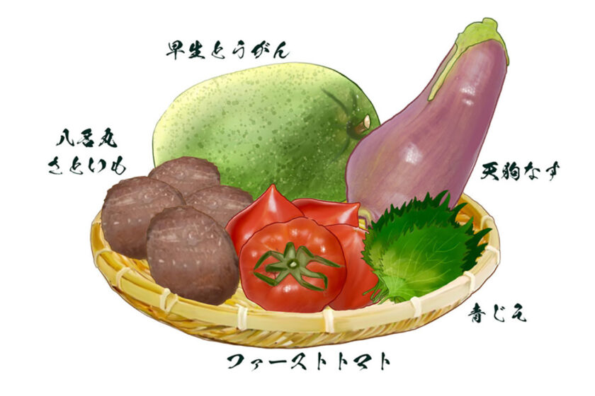 日本にはまだまだ面白い野菜がたくさんある！食べて、増やして、未来につなげる「野菜遺産プロジェクト」