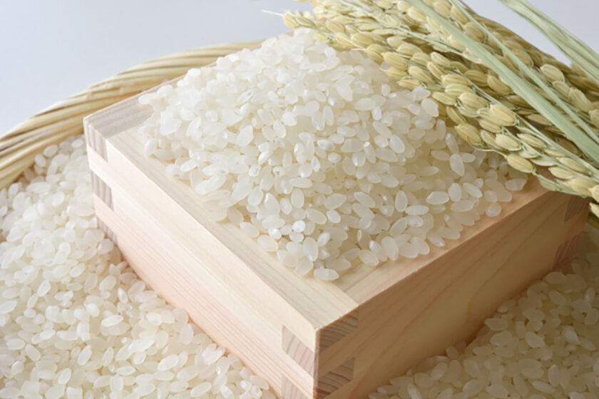 廃棄されるお米を価値ある紙へアップサイクル！新たな素材に生まれ変わった「kome-kami（コメカミ）」
